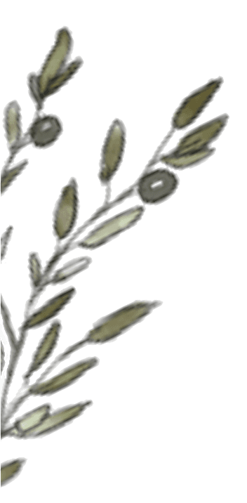 Fondo decorativo izquierda