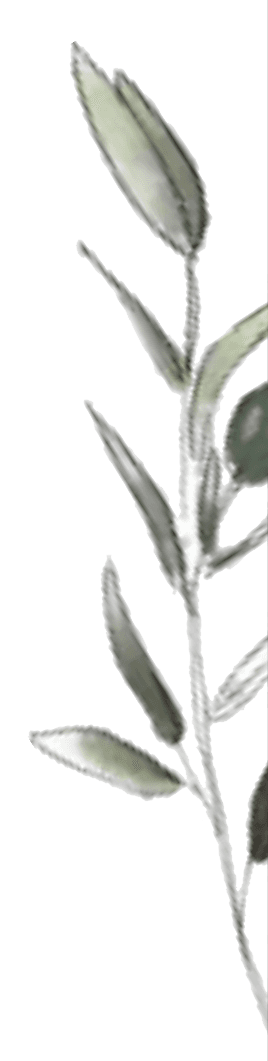 Fondo decorativo derecha